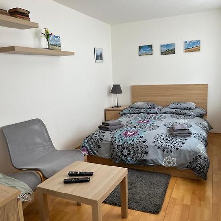 Cely Dum V Historickem Centru Loun Appartement Louny Buitenkant foto